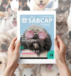 SABCAP Journal 2021